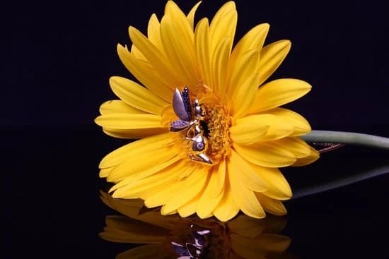 How To Clean Nose Jewelry 1 How To Clean Nose Jewelry