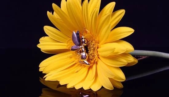 De Grisogono Jewelry 1 De Grisogono Jewelry