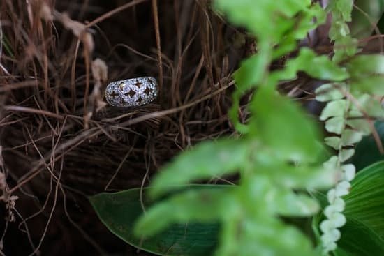 How To Make Jewelry Soup Genshin Impact