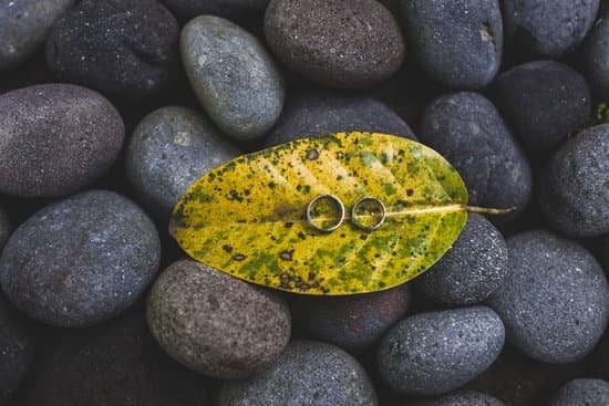 Is Iris Jewelry A Mlm Company 1 Is Iris Jewelry A Mlm Company