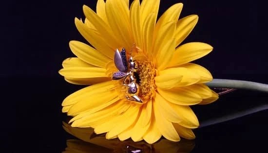 Sell Old Jewelry 1 Sell Old Jewelry