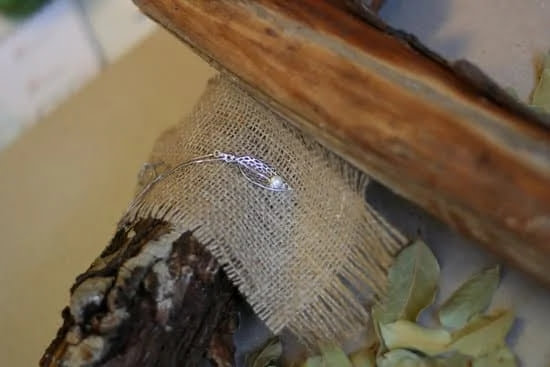 Where To Buy Sorrelli Jewelry 1 Where To Buy Sorrelli Jewelry