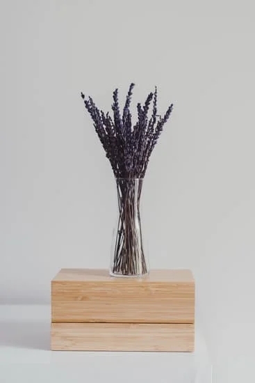 Diamond In The Rough Jewelry Diamond In The Rough Jewelry