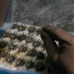 Diamond Jewelry Scottsdale Fashion Square Diamond Jewelry Scottsdale Fashion Square