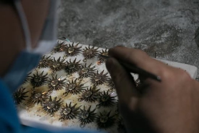 Diamond Jewelry Scottsdale Fashion Square 1 Diamond Jewelry Scottsdale Fashion Square