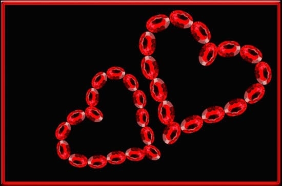 Newfoundland Dog Jewelry Silver 1 Newfoundland Dog Jewelry Silver