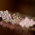 Cast Poppyseed Silver Jewelry Cast Poppyseed Silver Jewelry