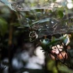 Where To Buy Semi Precious Stones For Jewelry Making Where To Buy Semi Precious Stones For Jewelry Making