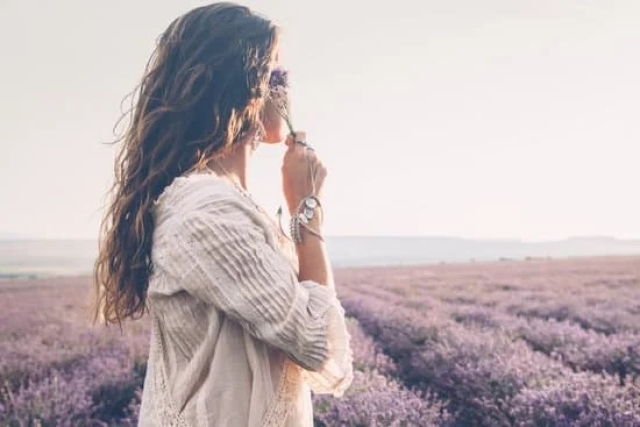 Jewelry Formal Occasion 1 Jewelry Formal Occasion