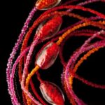 Handmade Western Jewelry Kit Colorful beads, charms, and tools for creating stunning Handmade Western Jewelry