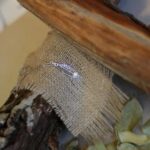 How Much Can You Make Selling Handmade Jewelry Discover the potential earnings by selling your unique handmade jewelry - Learn How Much Can You Make!