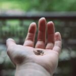 How to Clean Gold Jewelry With Baking Soda Straightforward guide on cleaning gold jewelry with baking soda to restore its shine and luster