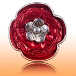 Does Paparazzi Jewelry Use Rea Diamonds Paparazzi Jewelry's true glamour - using real diamonds to capture the spotlight!