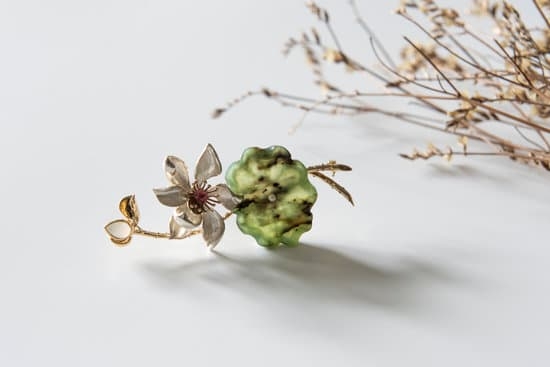 How Much Does 1 Carat Diamond Ring Gainesville Jewelry Cost 1 How much does a 1 carat diamond ring at Gainesville Jewelry cost?