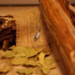 How Often Does Iris Fashion Jewelry Release New Accessories How often does Iris Fashion Jewelry release new accessories - discover their latest collections!