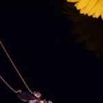 Exquisite and Intricate Pave Diamond Jewelry, Perfect for Adding Elegance and Sparkle to Any Occasion