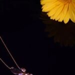 Is Silver Considered Fine Jewelry Beautiful silver jewelry - is silver considered fine jewelry