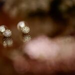 How to Make Handmade Jewelry Youtube How to make handmade jewelry YouTube tutorial