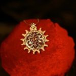 Museum of Natural History Jewelry New York Exquisite jewelry collection at the Museum of Natural History in New York City