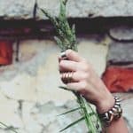 Wolf Beads for Jewelry intricately carved pieces inspired by nature's beauty